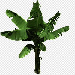 Parking Lot PNG File