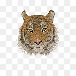 Tiger painting