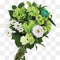 Flower bouquet Saint Patrick\'s Day Cut flowers Floral design, st patrick\'s day, flower Arranging, recipe, annual Plant png