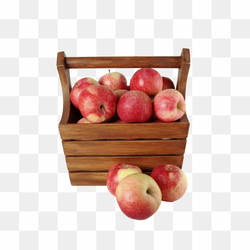 13th image apple