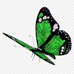Ilustrasi kombinasi warna