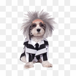 25 Off PNG Isolated HD