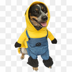 Administration PNG Transparent