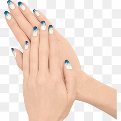 Admin Profile PNG Isolated File