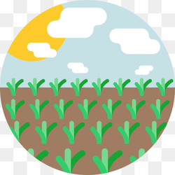 Grunge Frame PNG Picture