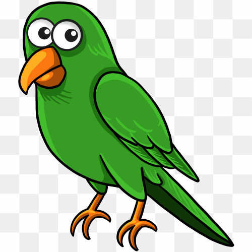 Parrot on the branch