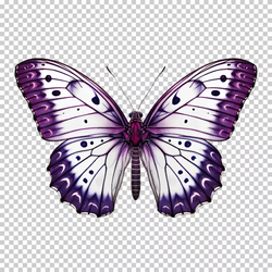Heart Key PNG Transparent