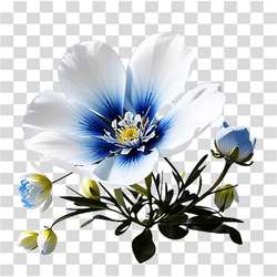 Heart Love PNG Transparent
