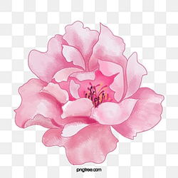 Heart Love PNG Transparent HD Photo