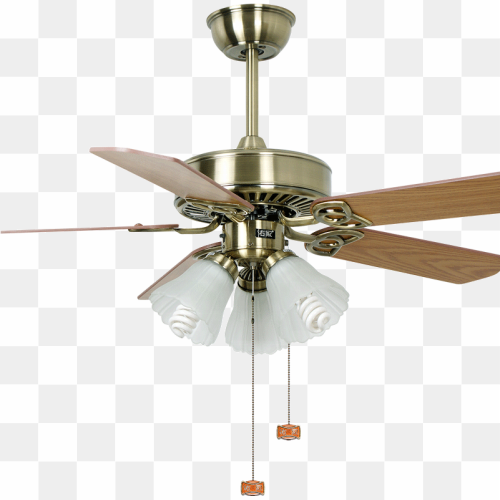 Gold celling fan