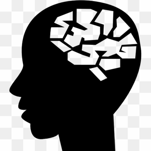 A draw for a Human brain 