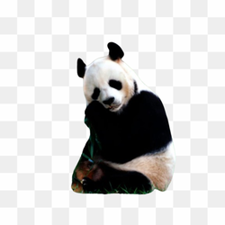 Love PNG File