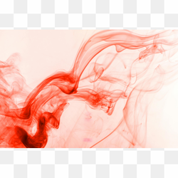 Rose Heart PNG HD