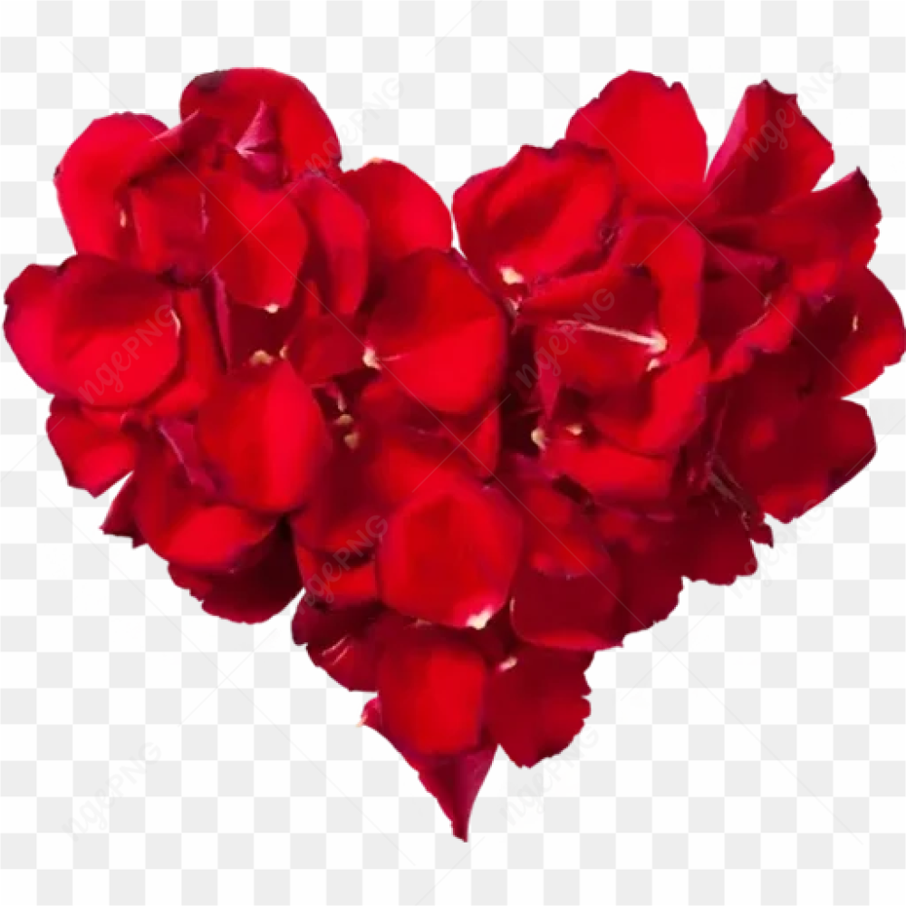 Heart Rose PNG Clipart