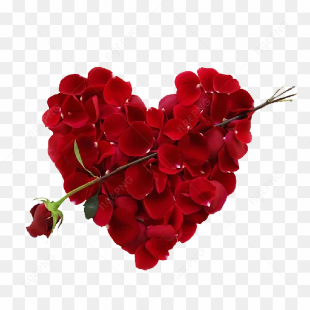 Rose Heart PNG Free Download