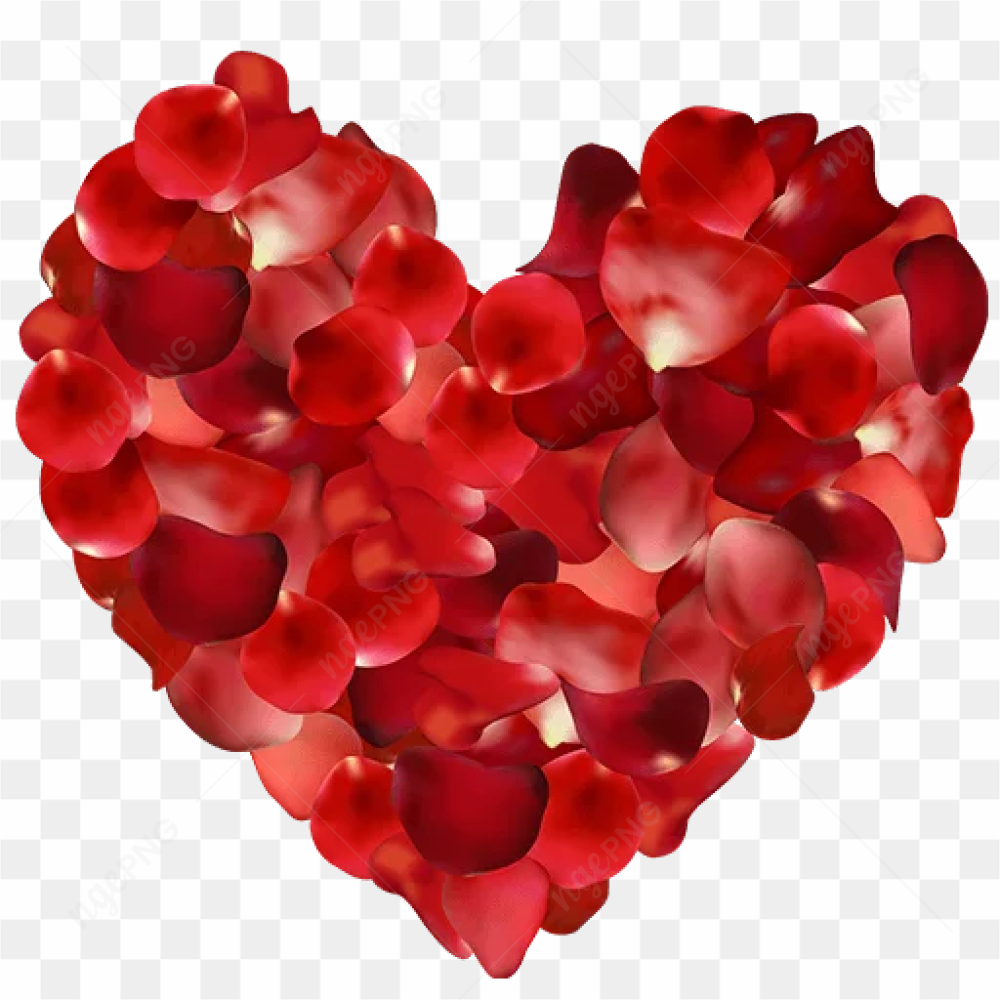 Rose Heart PNG Picture