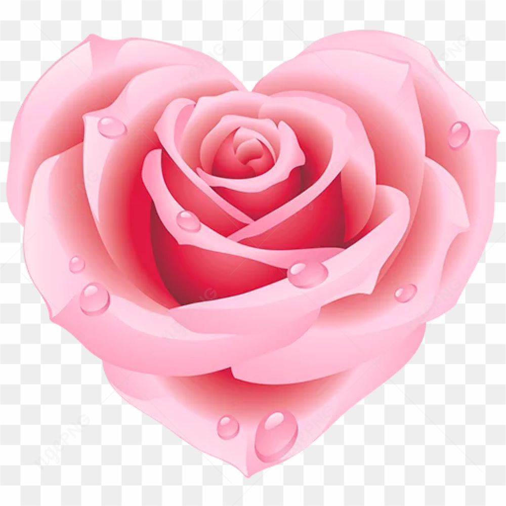 Rose Heart PNG Transparent