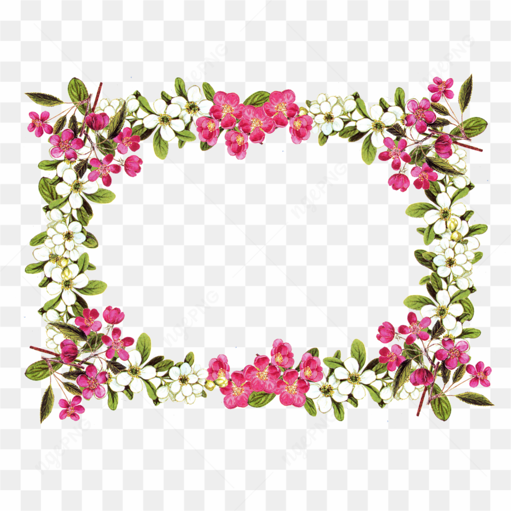 Flowers Border Wedding Frame PNG