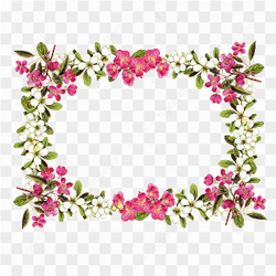 Flowers Border Wedding Frame PNG