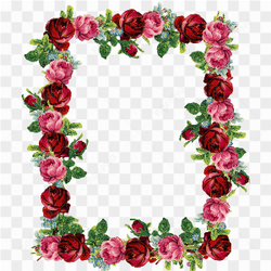 Flowers Border Frame Wedding PNG