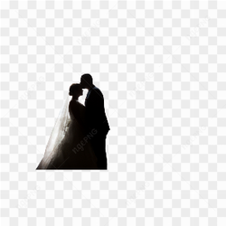 Wedding Couple Transparent Background