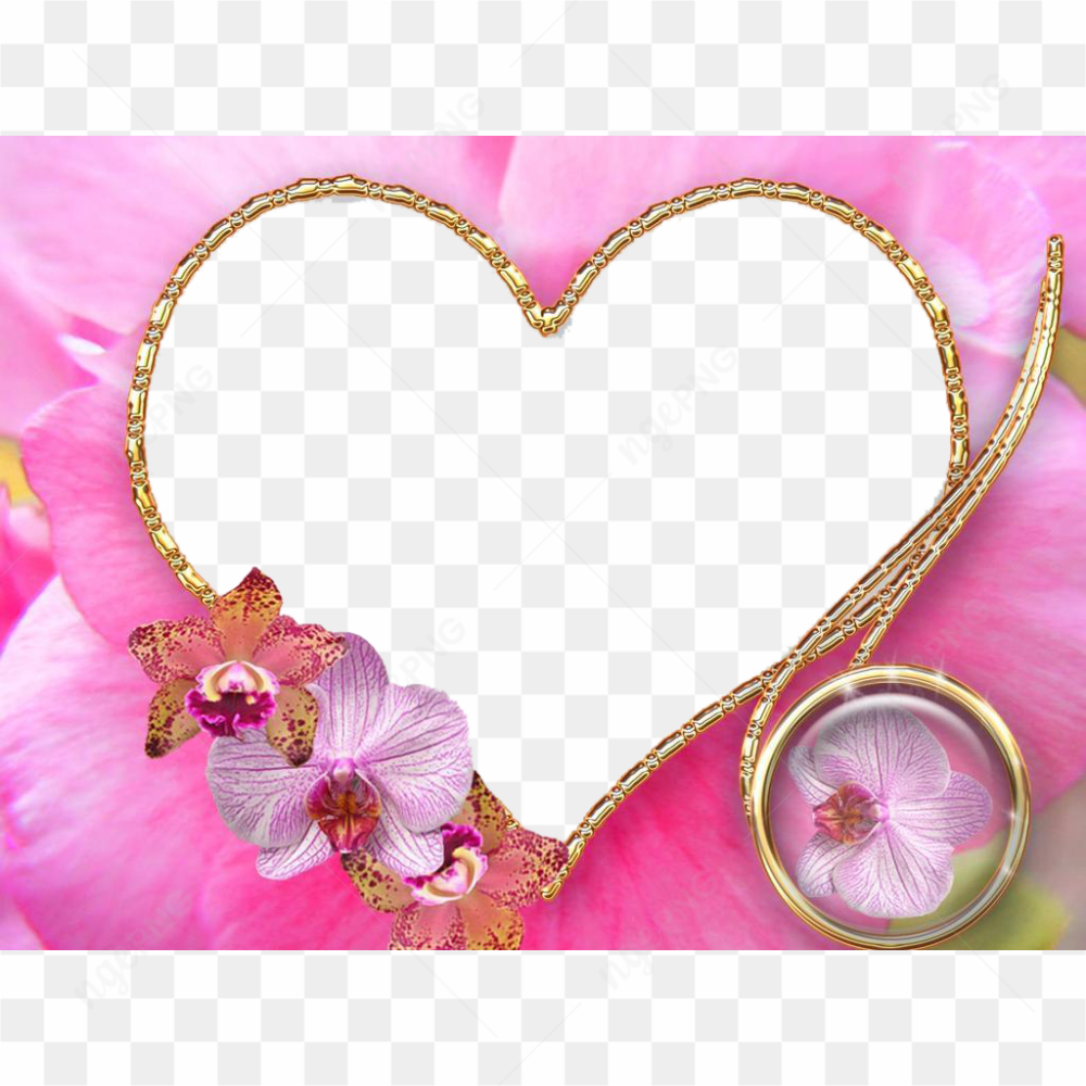 Wedding Frame PNG Photo
