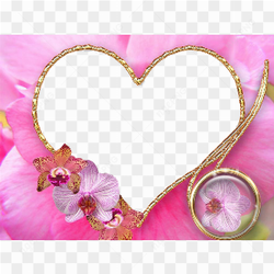 Wedding Frame PNG Photo