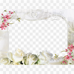 Wedding Frame PNG Isolated Pic