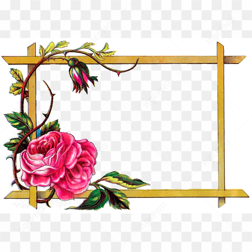 Wedding Floral Border PNG Image