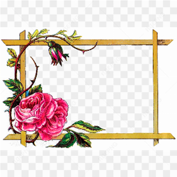 Wedding Floral Border PNG Image