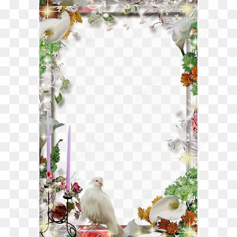 Wedding Frame PNG Transparent File
