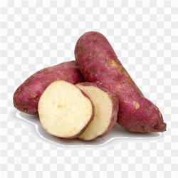 Batata doce sade