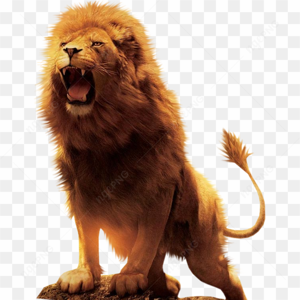 Realistic orange lion