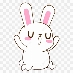 Cute rabbit funny 