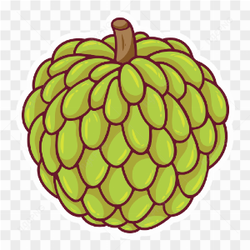 Custard apple .