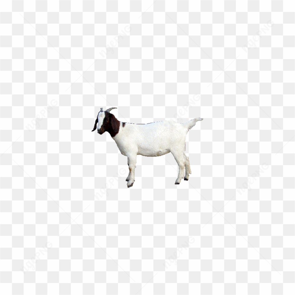 Goat Download Png