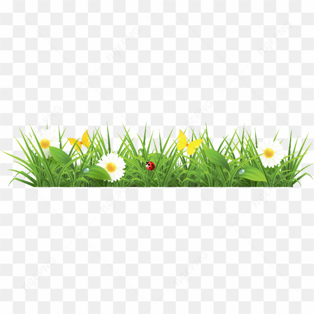 Grass Png Image Green Grass Png Picture