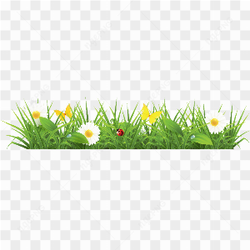 Grass Png Image Green Grass Png Picture
