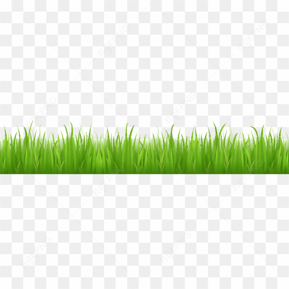 Grass Png Image Green Picture
