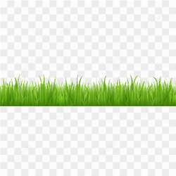 Grass Png Image Green Picture