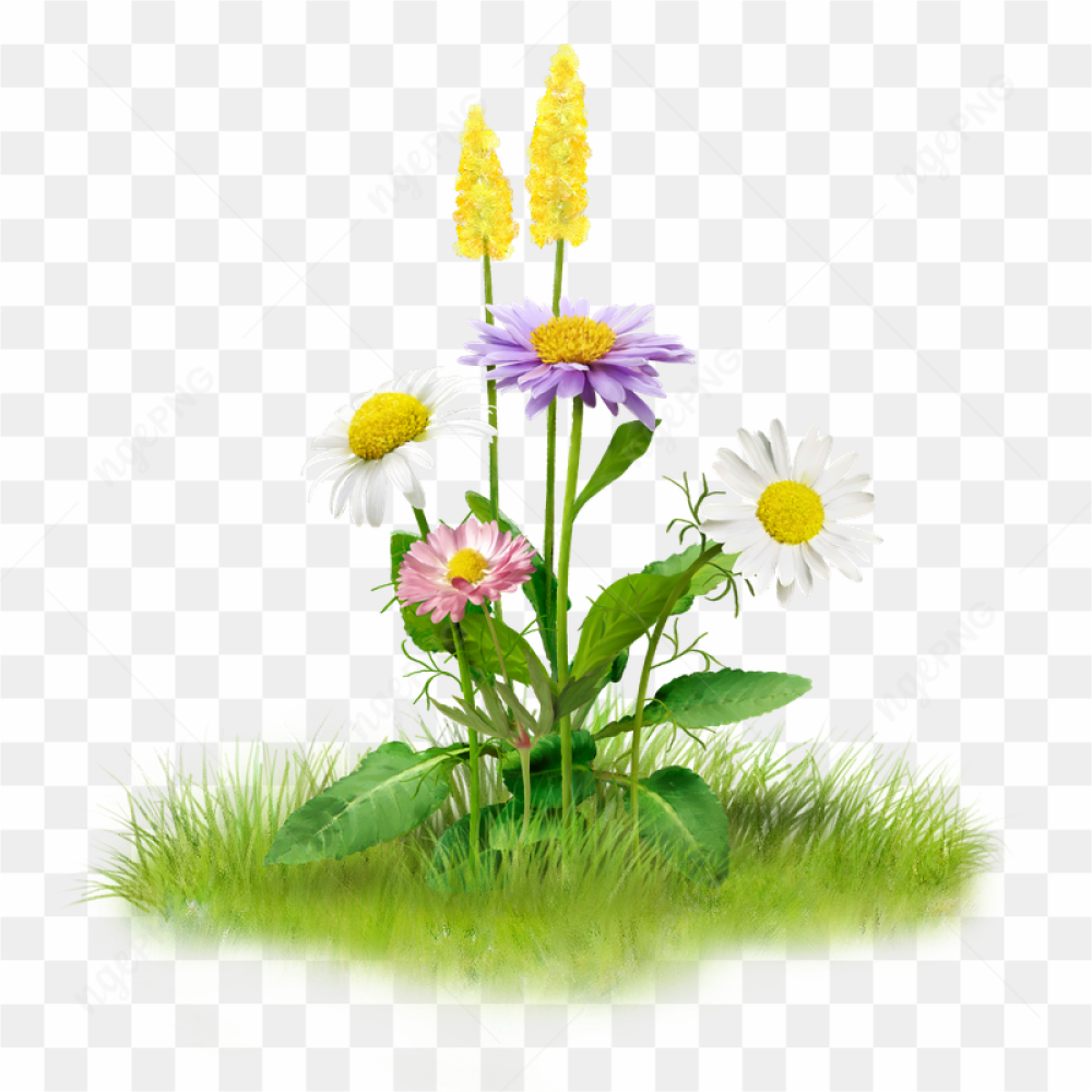 Nature Png File