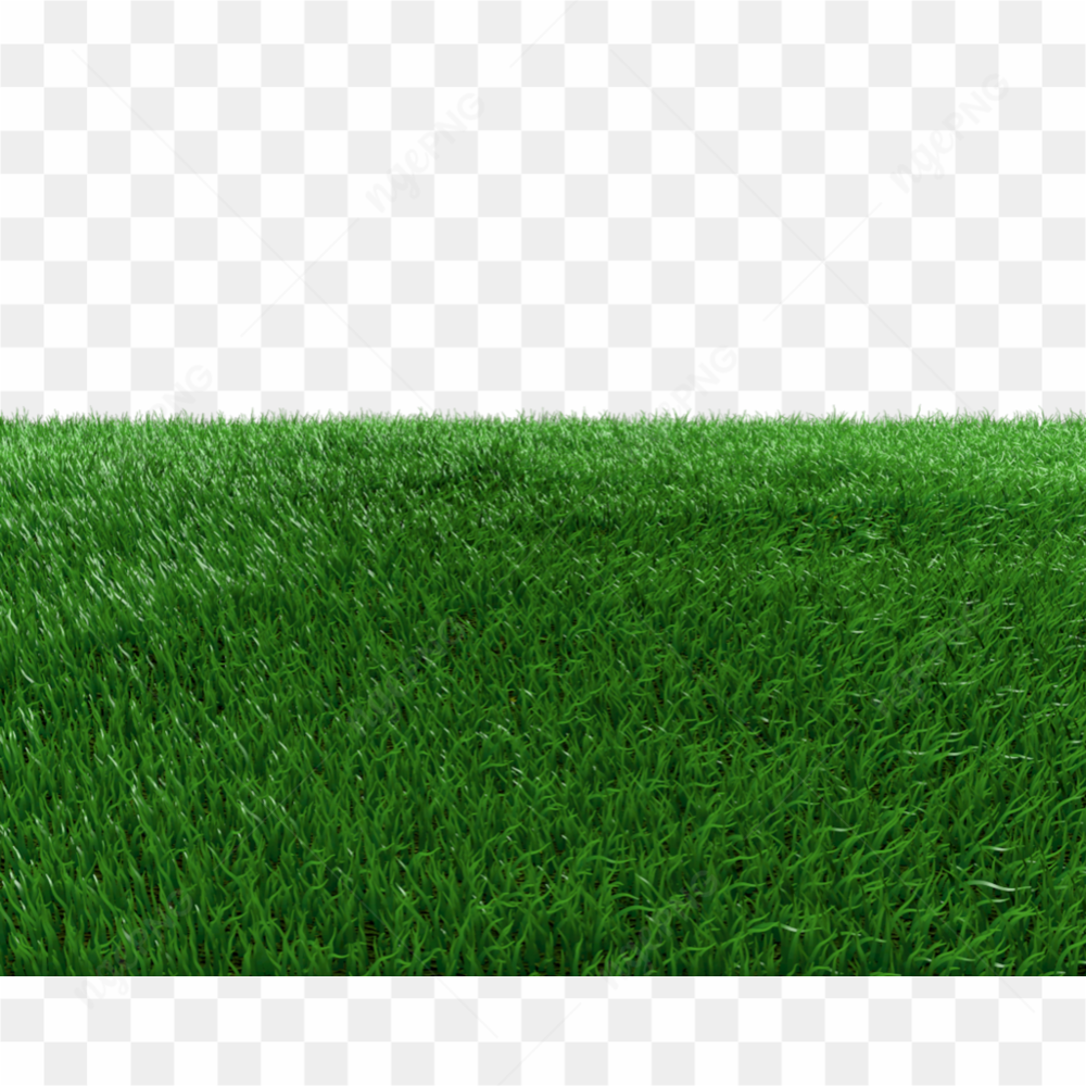 Graphy of green grass