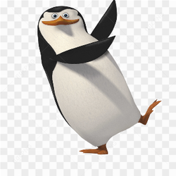 Very funny penguin
