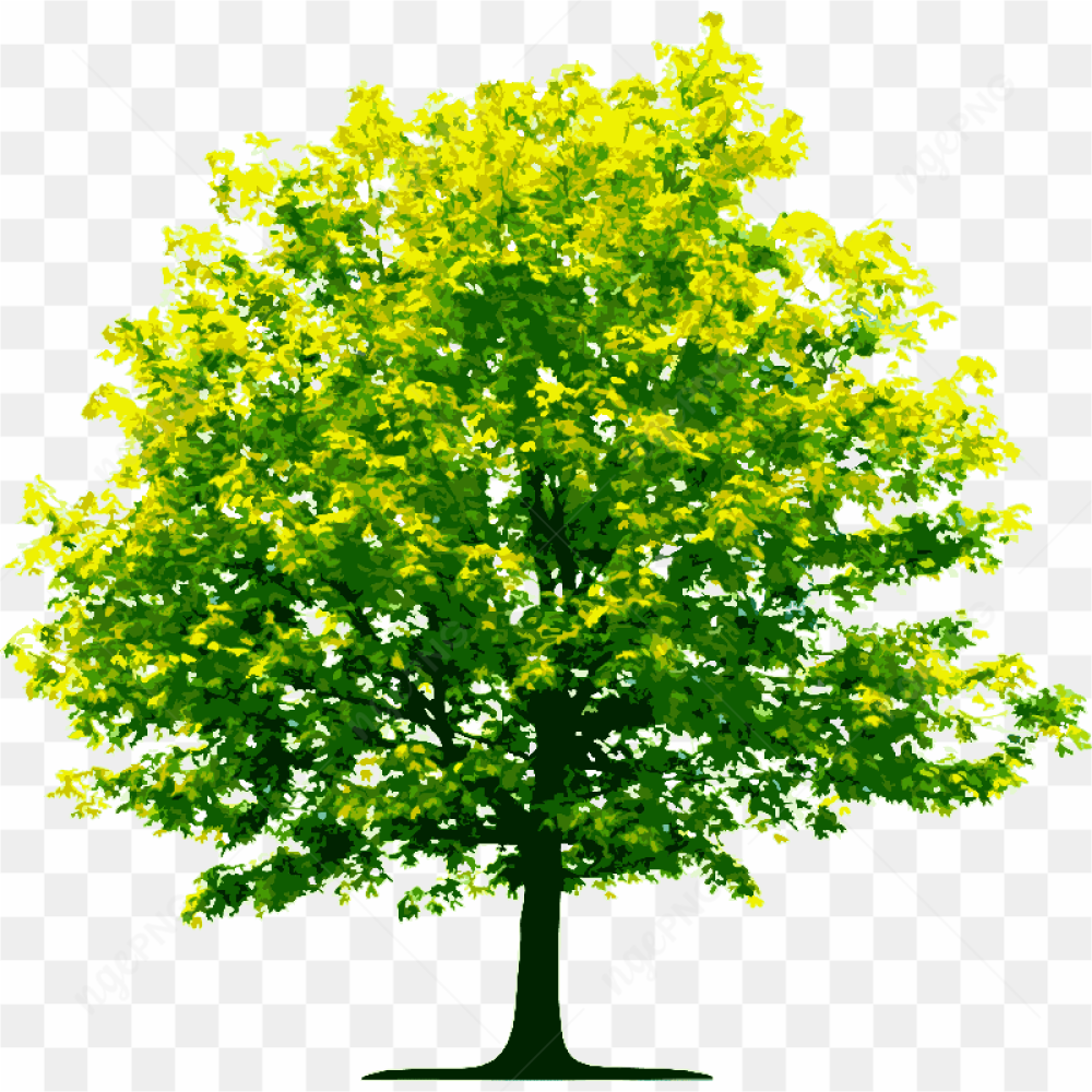 Tree with branches