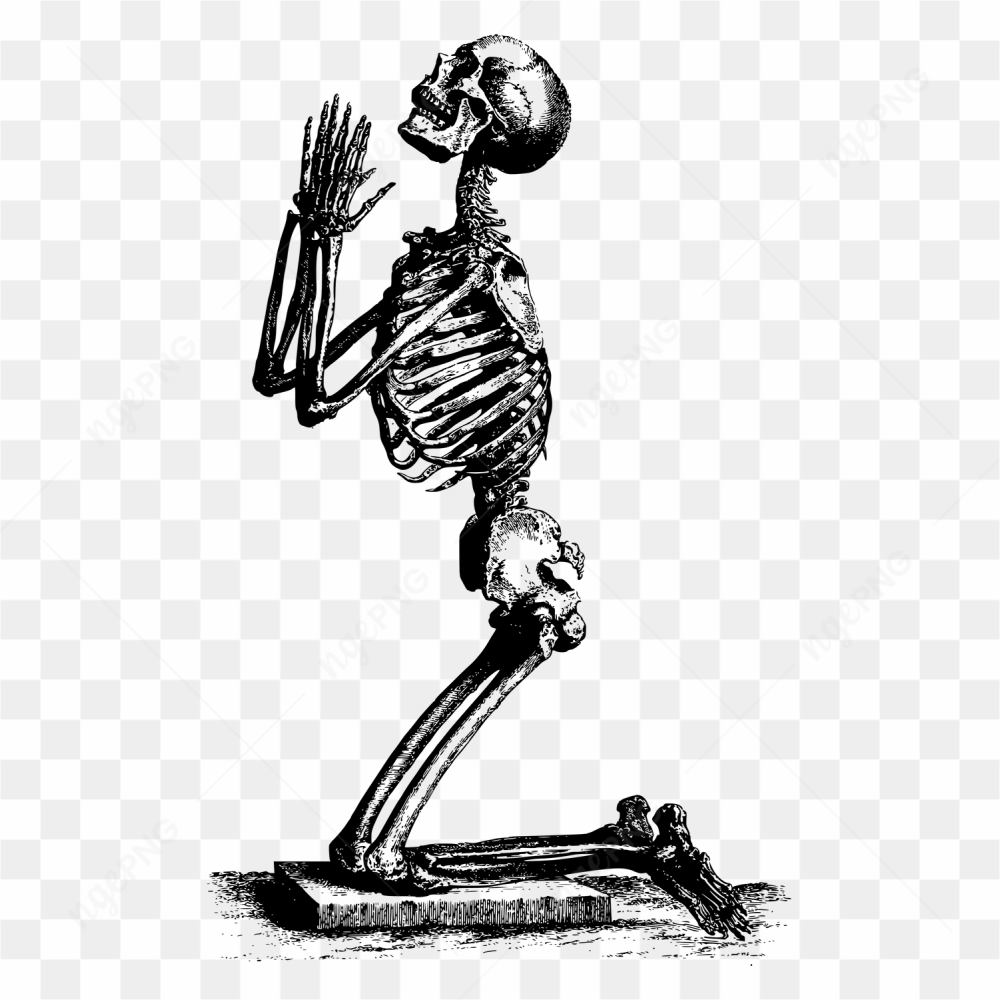 Skeleton please help