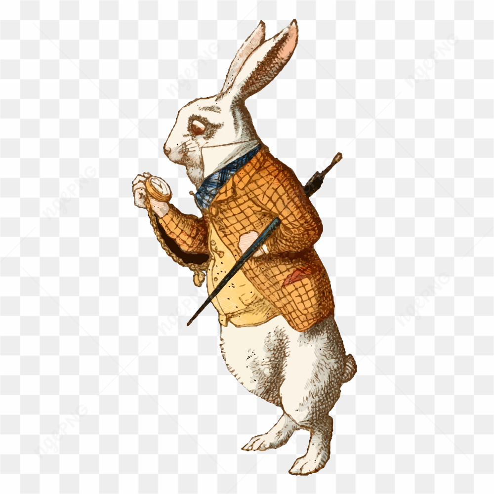 Rabbit watch and terno