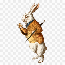 Rabbit watch and terno