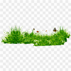 Grass Png Image Green Grass Png Picture