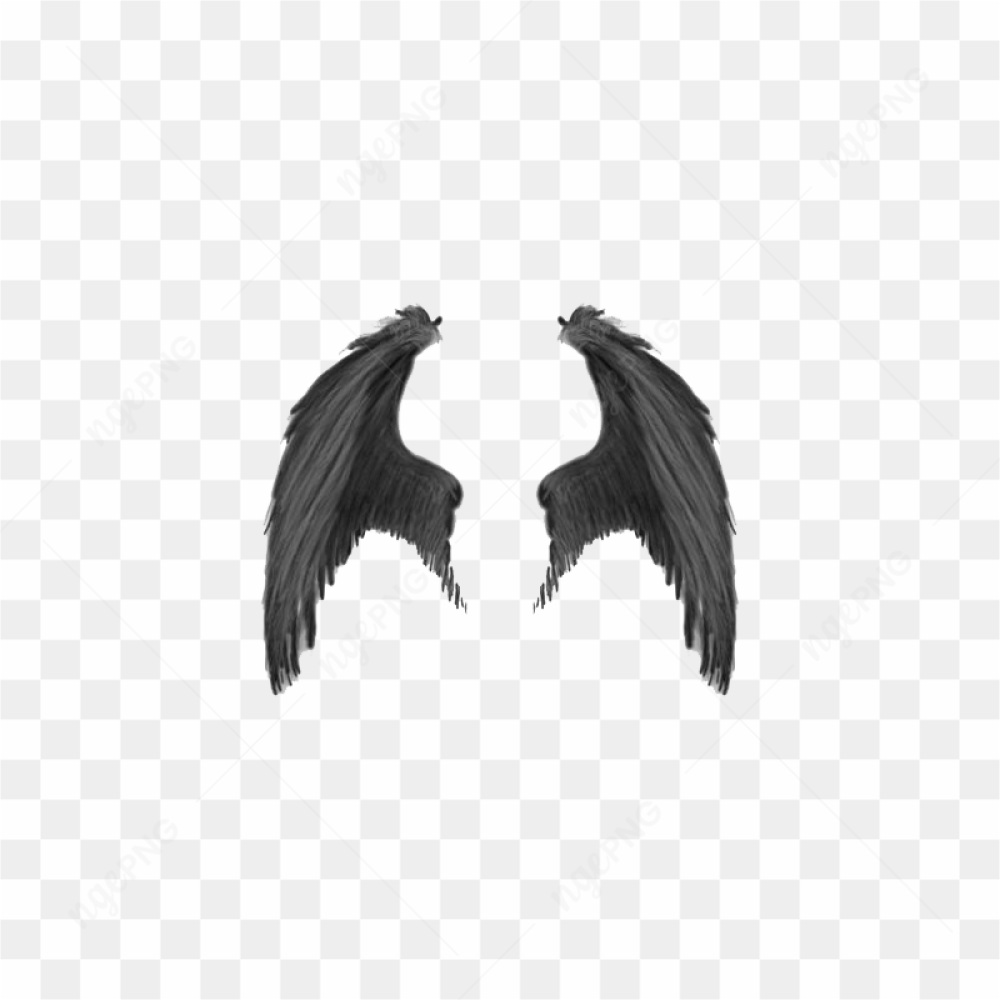 Wings Transparent Image