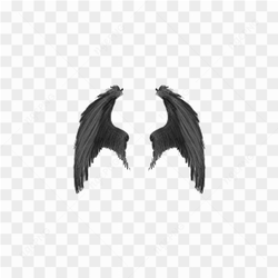 Wings Transparent Image